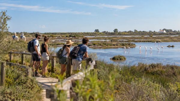 Que faire en Camargue pour vivre des moments inoubliables