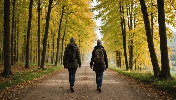 Découvrez les joies du plein air dans l'allier